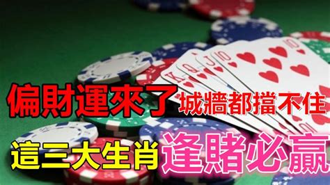 綸 五行 逢賭必勝